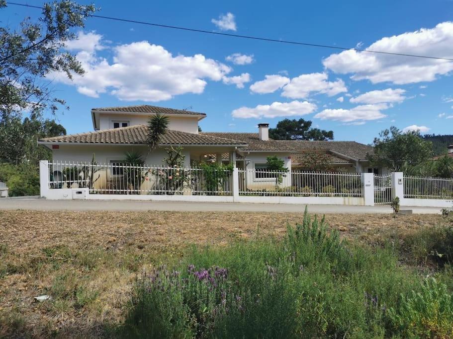 Cantinho Da Alice Family Villa Sertã 外观 照片