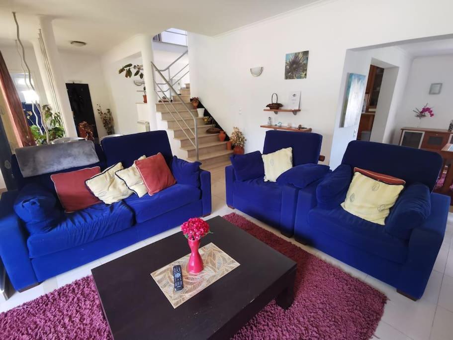 Cantinho Da Alice Family Villa Sertã 外观 照片