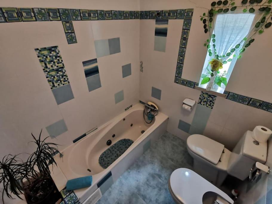 Cantinho Da Alice Family Villa Sertã 外观 照片